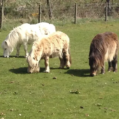 度假居 Smugglers Rock 雷文斯卡