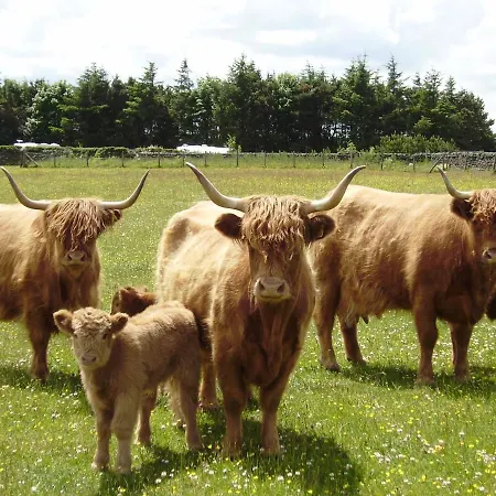 Smugglers Rock 雷文斯卡